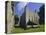 The White Tower, Tower of London, London, England, UK-Walter Rawlings-Premier Image Canvas