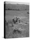 The Whole Family of Farmers Harvesting Wheat in Field-Dmitri Kessel-Premier Image Canvas