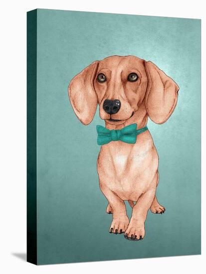 The Wiener Dog-Barruf-Stretched Canvas