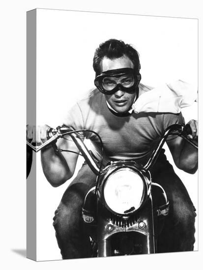 The Wild One, Marlon Brando, 1953-null-Stretched Canvas