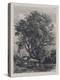 The Willow (Etching)-Samuel Palmer-Premier Image Canvas