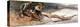 The Winchester-Frederic Sackrider Remington-Premier Image Canvas