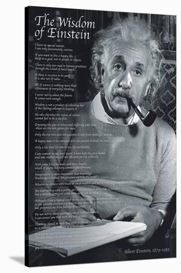 The Wisdom of Einstein-null-Stretched Canvas