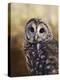 The Wise Owl-Jai Johnson-Premier Image Canvas