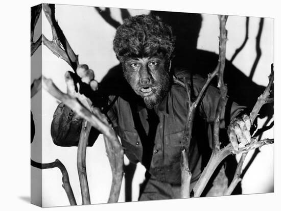 The Wolf Man, Lon Chaney, Jr., 1941-null-Stretched Canvas