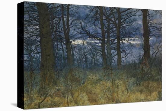 The Wood at Dusk, 1884-William Fraser Garden-Premier Image Canvas