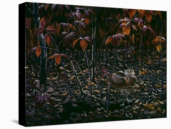 The Woodcocks World-Wilhelm Goebel-Premier Image Canvas