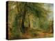 The Woodland Mirror, 19Th Century-Richard Redgrave-Premier Image Canvas