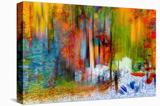 The Woods in Summer-Ursula Abresch-Premier Image Canvas