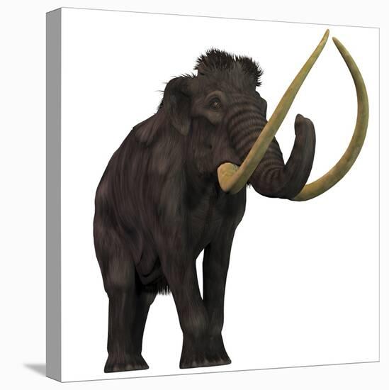 The Woolly Mammoth-null-Stretched Canvas