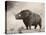 The Woolly Rhinoceros Is an Extinct Species from the Pleistocene Epoch-null-Stretched Canvas