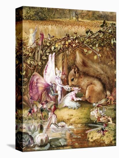 The Wounded Squirrel-John Anster Fitzgerald-Premier Image Canvas