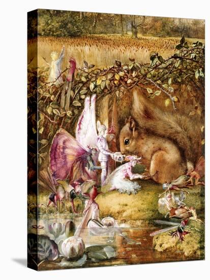 The Wounded Squirrel-John Anster Fitzgerald-Premier Image Canvas