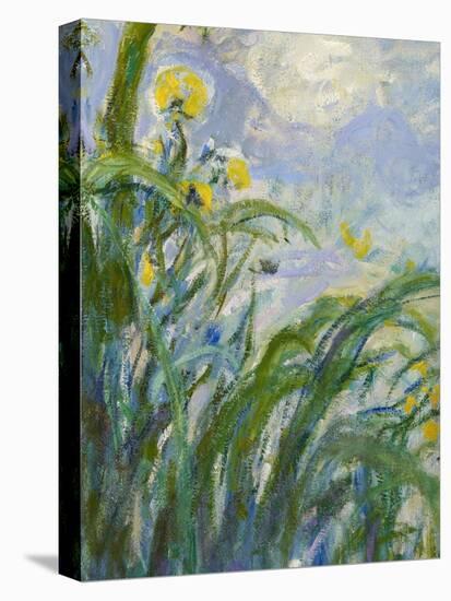 The Yellow Iris (Detail)-Claude Monet-Premier Image Canvas