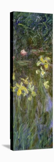 The Yellow Irises, 1914-17-Claude Monet-Premier Image Canvas