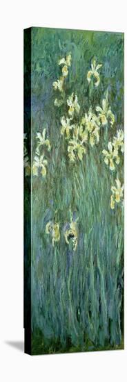 The Yellow Irises-Claude Monet-Premier Image Canvas