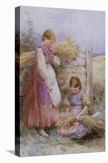 The Young Gleaners-Myles Birket Foster-Premier Image Canvas