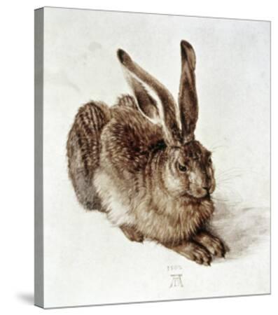 How long to hang a hare