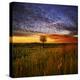 Thee Lone Tree-Adrian Campfield-Premier Image Canvas