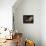 Thele Verrou Lock-Jean-Honoré Fragonard-Premier Image Canvas displayed on a wall