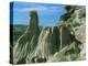 Theodore Roosevelt National Park-Gordon Semmens-Premier Image Canvas