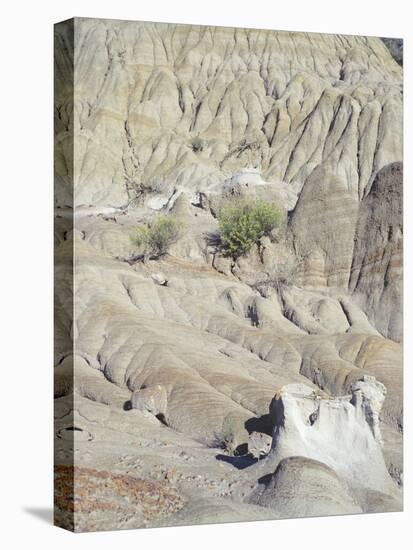 Theodore Roosevelt National Park-Gordon Semmens-Premier Image Canvas