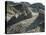 Theodore Roosevelt National Park-Gordon Semmens-Premier Image Canvas