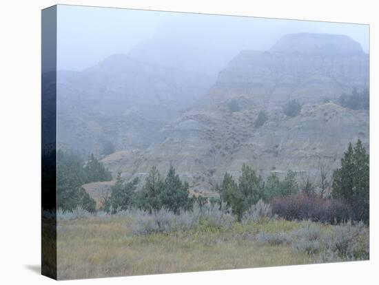 Theodore Roosevelt National Park-Gordon Semmens-Premier Image Canvas