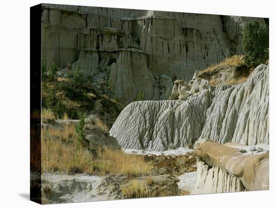 Theodore Roosevelt National Park-Gordon Semmens-Premier Image Canvas