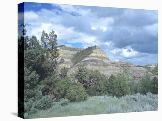 Theodore Roosevelt National Park-Gordon Semmens-Premier Image Canvas