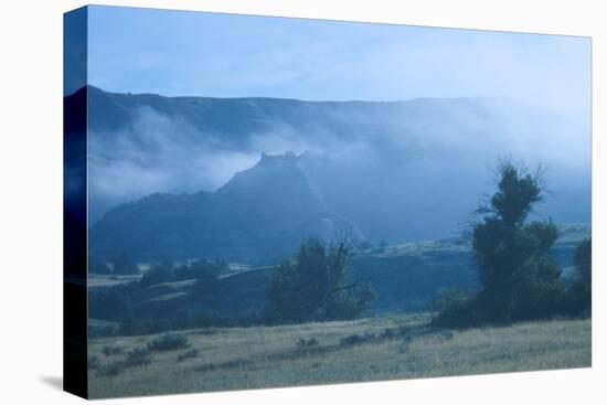 Theodore Roosevelt National Park-Gordon Semmens-Premier Image Canvas