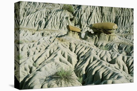 Theodore Roosevelt National Park-Gordon Semmens-Premier Image Canvas