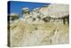 Theodore Roosevelt National Park-Gordon Semmens-Premier Image Canvas