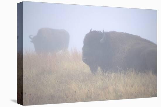 Theodore Roosevelt National Park-Gordon Semmens-Premier Image Canvas