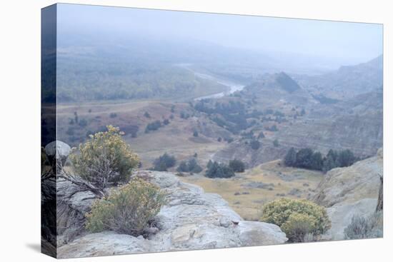 Theodore Roosevelt National Park-Gordon Semmens-Premier Image Canvas