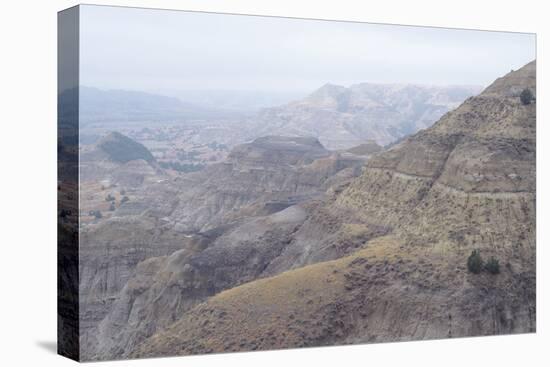 Theodore Roosevelt National Park-Gordon Semmens-Premier Image Canvas