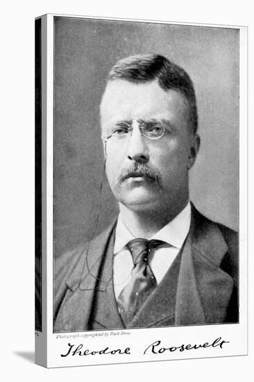 Theodore 'Teddy' Roosevelt, American President, 1901-1909-null-Premier Image Canvas