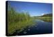 Therbrenner See Lake with Rushes and Reet, a Beach Lake on the Western Beach of Darss Peninsul-Uwe Steffens-Premier Image Canvas