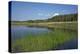 Therbrenner See Lake with Rushes and Reet, a Beach Lake on the Western Beach of Darss Peninsula-Uwe Steffens-Premier Image Canvas
