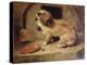 There's No Place Like Home-Edwin Henry Landseer-Premier Image Canvas