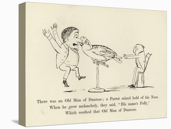 There Was an Old Man of Dunrose; a Parrot Seized Hold of His Nose-Edward Lear-Premier Image Canvas