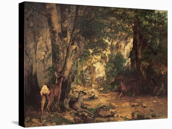 Thicket of Roe Deer at the Stream of Plaisir Fontaine-Gustave Courbet-Stretched Canvas