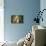 This Beam is Booming-Lars Van de Goor-Premier Image Canvas displayed on a wall