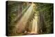 This Beam is Booming-Lars Van de Goor-Premier Image Canvas