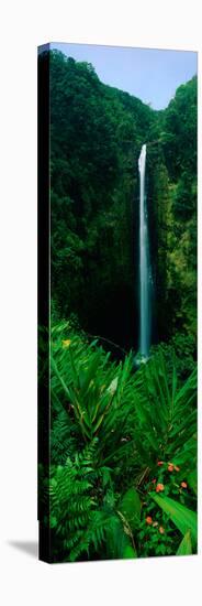 This Is Akaka Falls State Park. the Falls are 442 Feet Long. it Is Located North of Hilo-null-Stretched Canvas