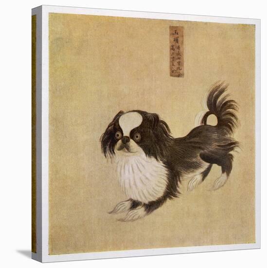 This is How the Pekingese Dog Looked in Its Native China as Depicted in an Imperial Dog Book-null-Stretched Canvas