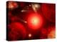 This Red Giant Star Is Much Older and Bigger Than Earth's Sun-Stocktrek Images-Premier Image Canvas