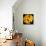 This Yellow Tulip-Steve Gadomski-Premier Image Canvas displayed on a wall