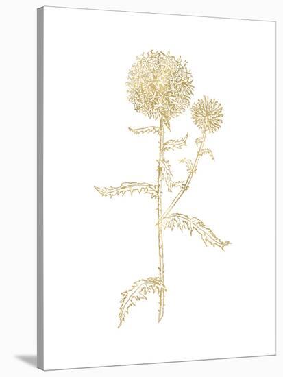 Thistle 2 Golden White-Amy Brinkman-Stretched Canvas