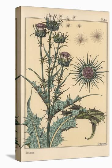 Thistle Botanical Study, 1897 (Lithograph)-Eugene Grasset-Premier Image Canvas